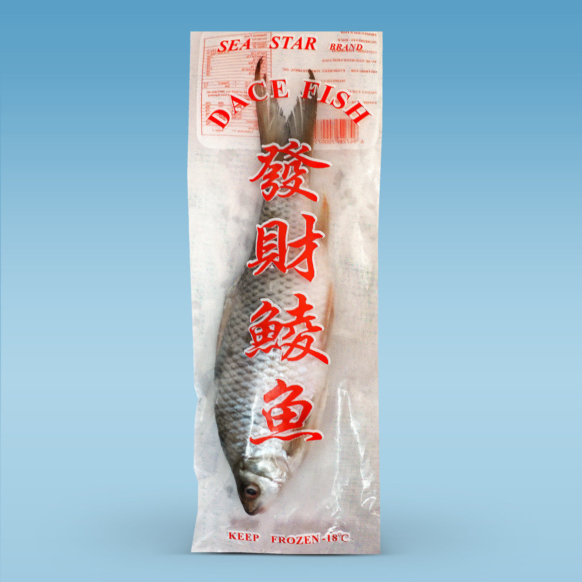 【茶碗　魚文】瑞雲　　紙箱 fit=scale-down,w=1200